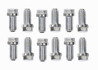 Mr Gasket Mr. Gasket Stainless Steel Header Bolts 2210G