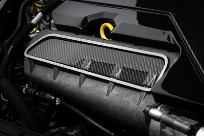 Intake Manifold Cover Plate 2.5T Carbon Fiber Fits Audi RS3 17-24, TT RS Quattro 12-22 APR