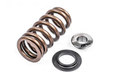 Valve Spring Kit (1 Set) Fits various VW, Audi, Seat, Skoda, Cupura, Bentley, Lamborghini, and Porsche vehicles APR