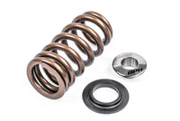 Valve Spring Kit (1 Set) Fits various VW, Audi, Seat, Skoda, Cupura, Bentley, Lamborghini, and Porsche vehicles APR