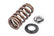Valve Spring Kit (1 Set) Fits various VW, Audi, Seat, Skoda, Cupura, Bentley, Lamborghini, and Porsche vehicles APR