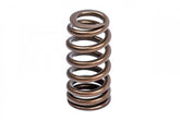 Valve Spring Kit (1 Set) Fits various VW, Audi, Seat, Skoda, Cupura, Bentley, Lamborghini, and Porsche vehicles APR