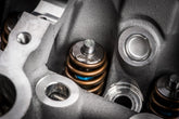 Valve Spring Kit (1 Set) Fits various VW, Audi, Seat, Skoda, Cupura, Bentley, Lamborghini, and Porsche vehicles APR