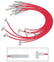 MSD For use with Ford small block, 289-302 with HEI Cap, Red jacket 35399