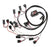 MSD87331.jpg