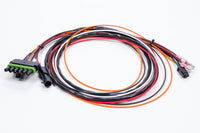 MSD Wiring Harness ASY17296