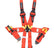 Harness 6pt Camlock Red Hans FIA SBH-HRS6PCRD