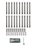 Ford Coyote 12pt Head Stud Kit 5.0L  12mm K062-H01S