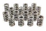 PAC Racing Springs 1.260 Single Valve Springs RPM Series (16) PAC-1201X-16
