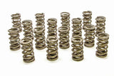 PAC Racing Springs 1.304 Dual Valve Springs - RPM Series (16) PAC-1207X-16