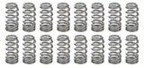 PAC Racing Springs 1.021 Valve Springs - Ovate Beehive (16) PAC-1234X-16