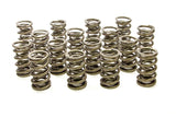PAC Racing Springs 1.564 Dual Valve Springs (16) PAC-1386-16
