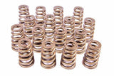 PAC Racing Springs 1.454 Valve Springs - Ovate Beehive (16) PAC-1427-16