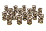 PAC Racing Springs Valve Springs - HR Series (16) PAC-1905-16
