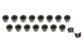 PACPAC-L8026-16.jpg
