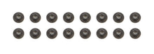 Load image into Gallery viewer, PACPAC-R364-16.jpg