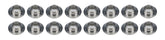 PACPAC-R513-16.jpg