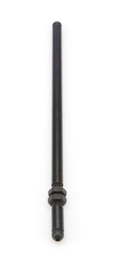 PFM67561.jpg
