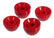 PTN8-1202.jpg