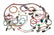 PWI60101.jpg