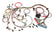 PWI60508.jpg