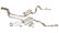 Pypes Performance exhaust 78-88 G-Body 2.5in Cat-Back Kit SGG50R