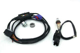 Racepak Single Channel, Programmable 0-5 Volt analog output. 220-VM-AF1