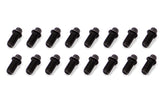 SCH3006-16.jpg