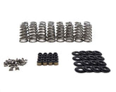 Brian Tooley Racing BTR GEN V LT CONICAL SPRING KIT - .650" LIFT - SK013 SK013