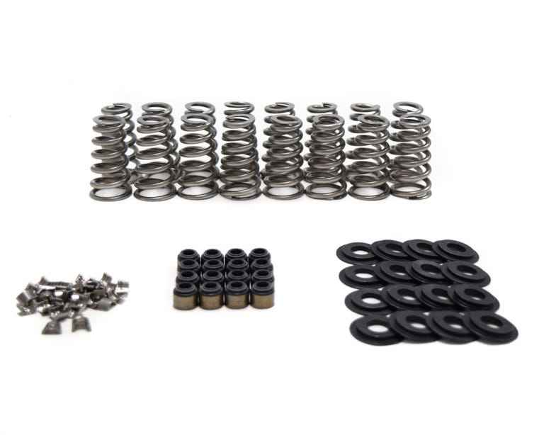 Brian Tooley Racing BTR GEN V LT CONICAL SPRING KIT - .650" LIFT - SK013 SK013