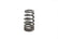 Brian Tooley Racing BTR LS6 BEEHIVE VALVE SPRING - .560" LIFT - SOLD INDIVIDUALLY - SP011-1 SP011-1