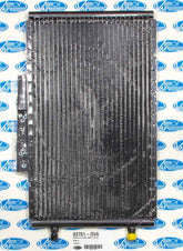 VIN03701-OVA.jpg