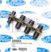 VIN389804.jpg