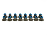 VS LS HAT KIT.jpg