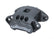 WIL120-14876.jpg