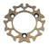 WIL300-10720.jpg