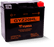 Yuasa GYZ20HL High Performance Maintenance Free AGM 12-Volt Battery