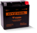 Yuasa GYZ16HL High Performance Maintenance Free AGM 12-Volt Battery