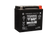 Yuasa YTX14L Maintenance Free AGM 12-Volt Battery