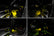 Oracle 19-22 RAM Complete Interior Ambient Lighting ColorSHIFT RGB Conversion Kit