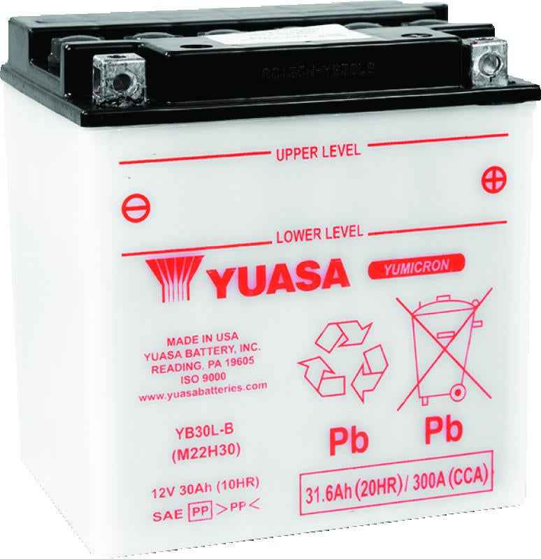 Yuasa YB30L-B Yumicron CX 12-Volt Battery