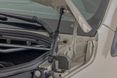 Hood Struts | Mercedes-Benz Sprinter 3500 (19-22)/Sprinter 3500XD (19-25) 