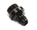 at991958_59v2.jpg
