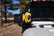 KC HiLiTES 6in. Round Soft Cover (Pair) - Black w/Yellow KC Logo