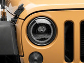 Photo - Close Up