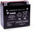 Yuasa YTX20L-BS Maintenance Free AGM 12-Volt Battery w/Bottle