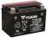 Yuasa YTX9-BS Maintenance Free AGM 12-Volt Battery w/Bottle