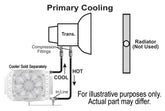 13022-Illustration.jpg