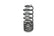 Eibach Pro-Kit for 09-11 Cadillac CTS-V 6.2L V8