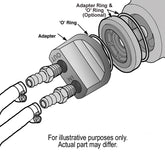 15705-Illustration.jpg